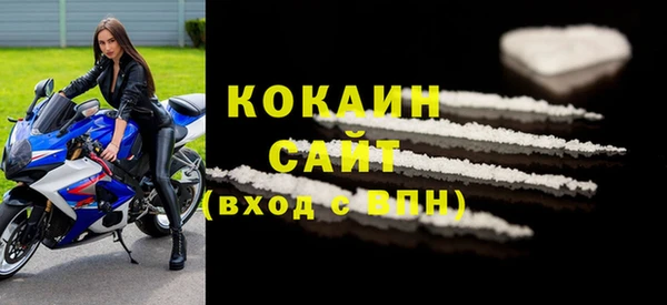 прущие грибы Нефтекумск