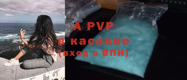 прущие грибы Нефтекумск