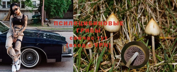 гидропоника Нефтегорск