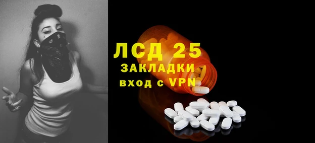 прущие грибы Нефтекумск