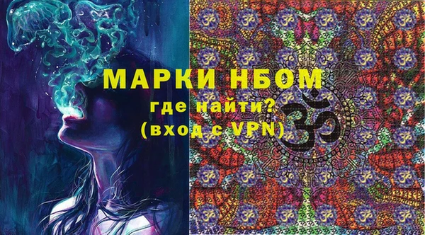 прущие грибы Нефтекумск