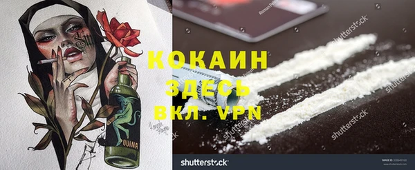 прущие грибы Нефтекумск