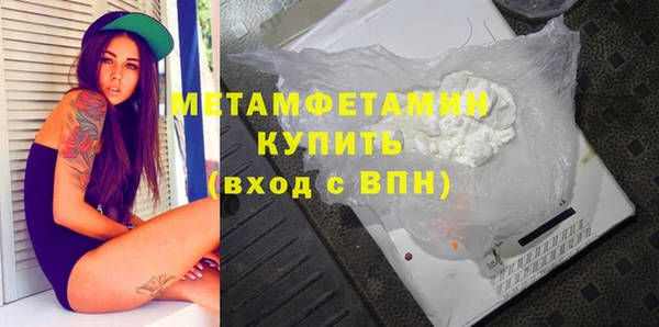 прущие грибы Нефтекумск