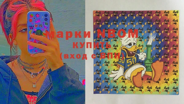 прущие грибы Нефтекумск