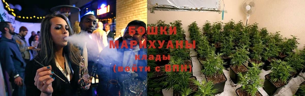прущие грибы Нефтекумск